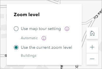 Use the current zoom level option