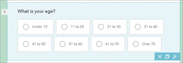 Second survey question with the compact appearance