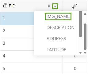 FID drop-down menu