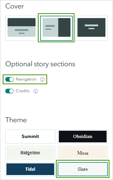 The Cover, Optional story sections, and Theme configured in the Design pane