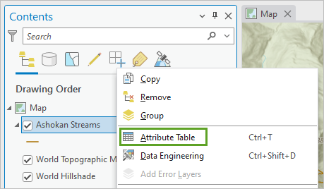 Attribute Table option