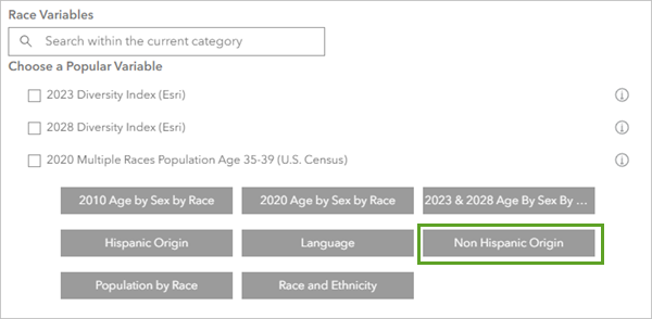 Non Hispanic Origin in the Race Variables page