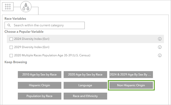 Non Hispanic Origin in the Race Variables page