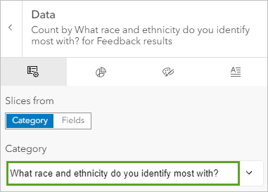 What race and ethnicity do you identify most with selected for Category