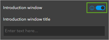 Introduction window and Open introduction window at start toggled on in the About pane