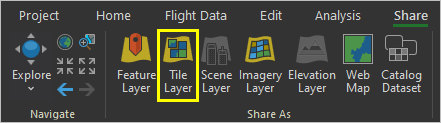 Tile Layer button in the Share As group