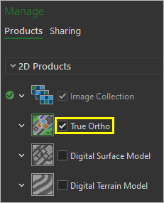 True Ortho option in the Manage pane