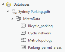 MetroTopology in the geodatabase