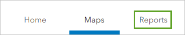 Reports tab