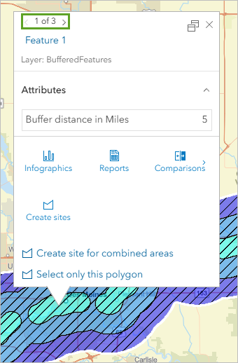 Pop-up with all three buffer features selected