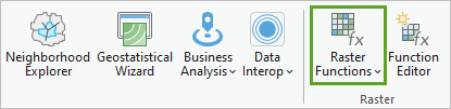 Raster Functions button