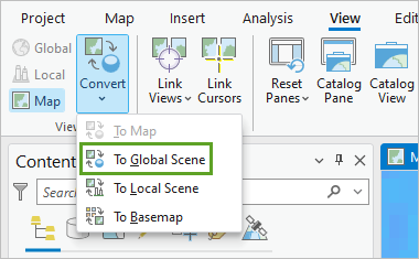 Convert to Global Scene