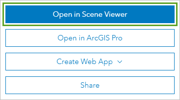 Open in Scene Viewer