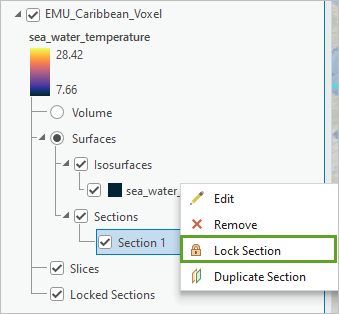 Lock the section for later visualization.