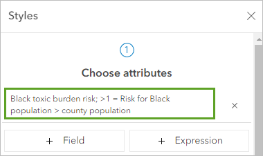 Click Black toxic burden risk attribute expression to edit the Arcade code.