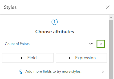 Remove attribute under Choose attributes in the Styles pane.