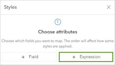 Expression button under Choose attributes in the Styles pane