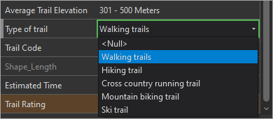 Opciones de Type of trail