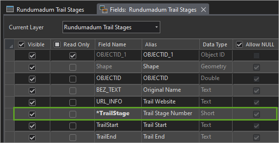 Campo TrailStage