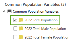 Variable 2022 Total Population
