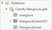 Clases de entidad de la geodatabase del proyecto