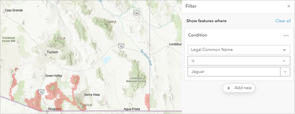 La expresión se completa y se muestra una vista previa del filtro aplicado al mapa visible.