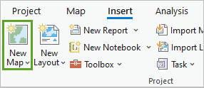 El botón Nuevo mapa en el grupo Proyecto de la pestaña Insertar
