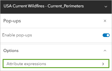 Expresiones de atributos en Opciones en el panel Elementos emergentes