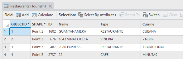 Tabla de atributos con datos cargados