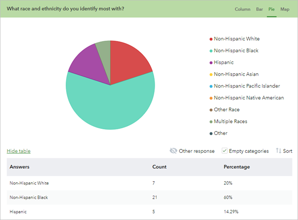 Gráfico circular con las respuestas a la pregunta sobre raza y etnia.
