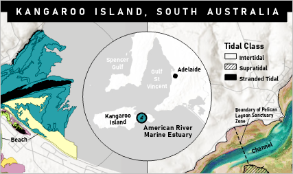 Mapa inserto en el diseño