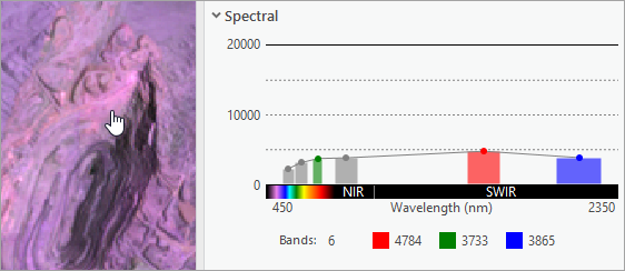 Perfil espectral en el panel Información de imagen