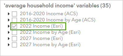 2022 Average Household Income (Esri)