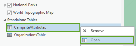 Abrir la tabla CampsiteAttributes.