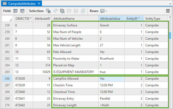 Revisar la tabla CampsiteAttributes.