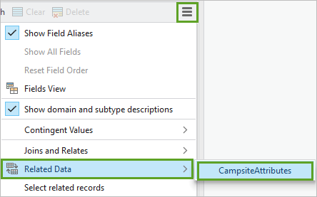 CampsiteAttributes seleccionado para Datos relacionados en el menú de tabla.