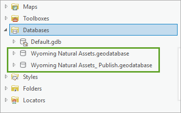 Revisar geodatabases.