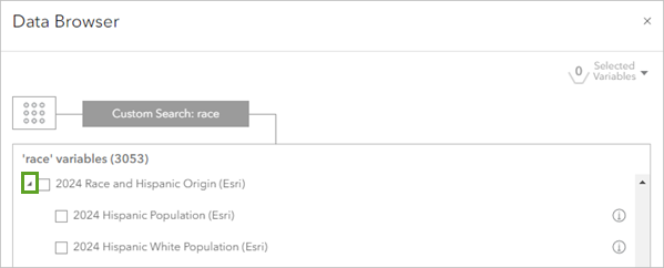 La categoría de variable 2024 Race and Hispanic Origin (Esri) expandida en el Explorador de datos.