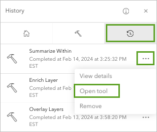 Abrir herramienta en las opciones de Resumir dentro de del panel Historial