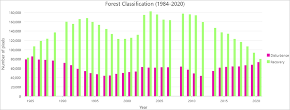 Gráfico Clasificación de bosque