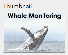 Vista en miniatura de Whale Monitoring