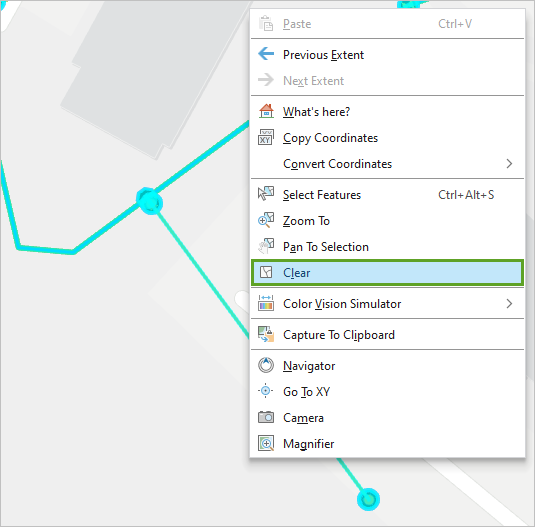 Opción Borrar en el menú contextual del mapa