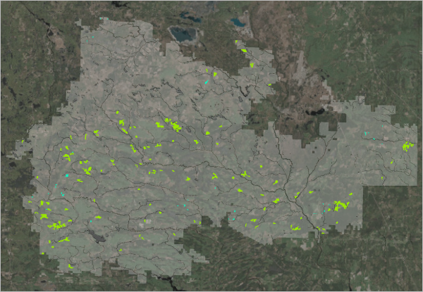 Mapa que muestra las áreas de tala de álamo en verde brillante con el resto del área forestal en gris transparente
