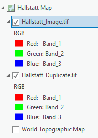 Hallstatt_Image.tif y Hallstatt_Duplicate.tif en el panel Contenido