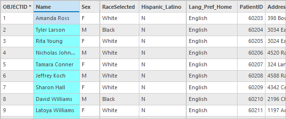 Se selecciona la columna de nombre.