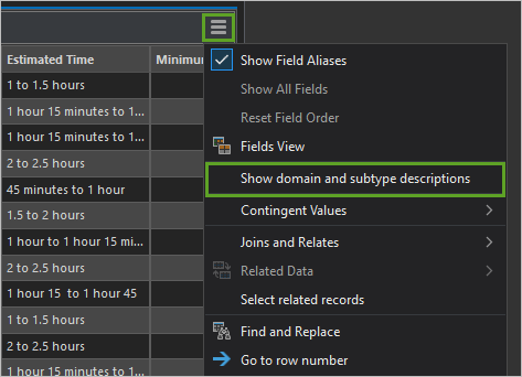 Option Afficher les descriptions des domaines et des sous-types