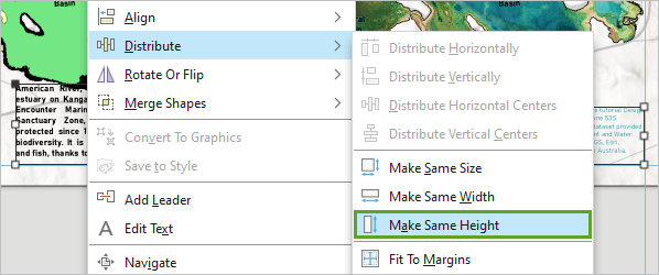 Option Make Same Height (Même hauteur) du menu contextuel