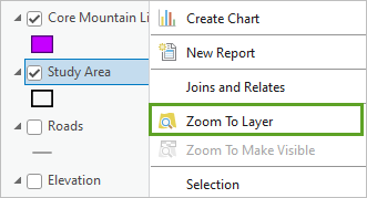 Option de menu Zoom to Layer (Zoom sur la couche)