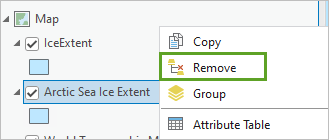 Option Remove (Supprimer) dans le menu contextuel de la couche