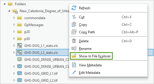 Option Show In File Explorer option (Afficher dans l’explorateur de fichiers)